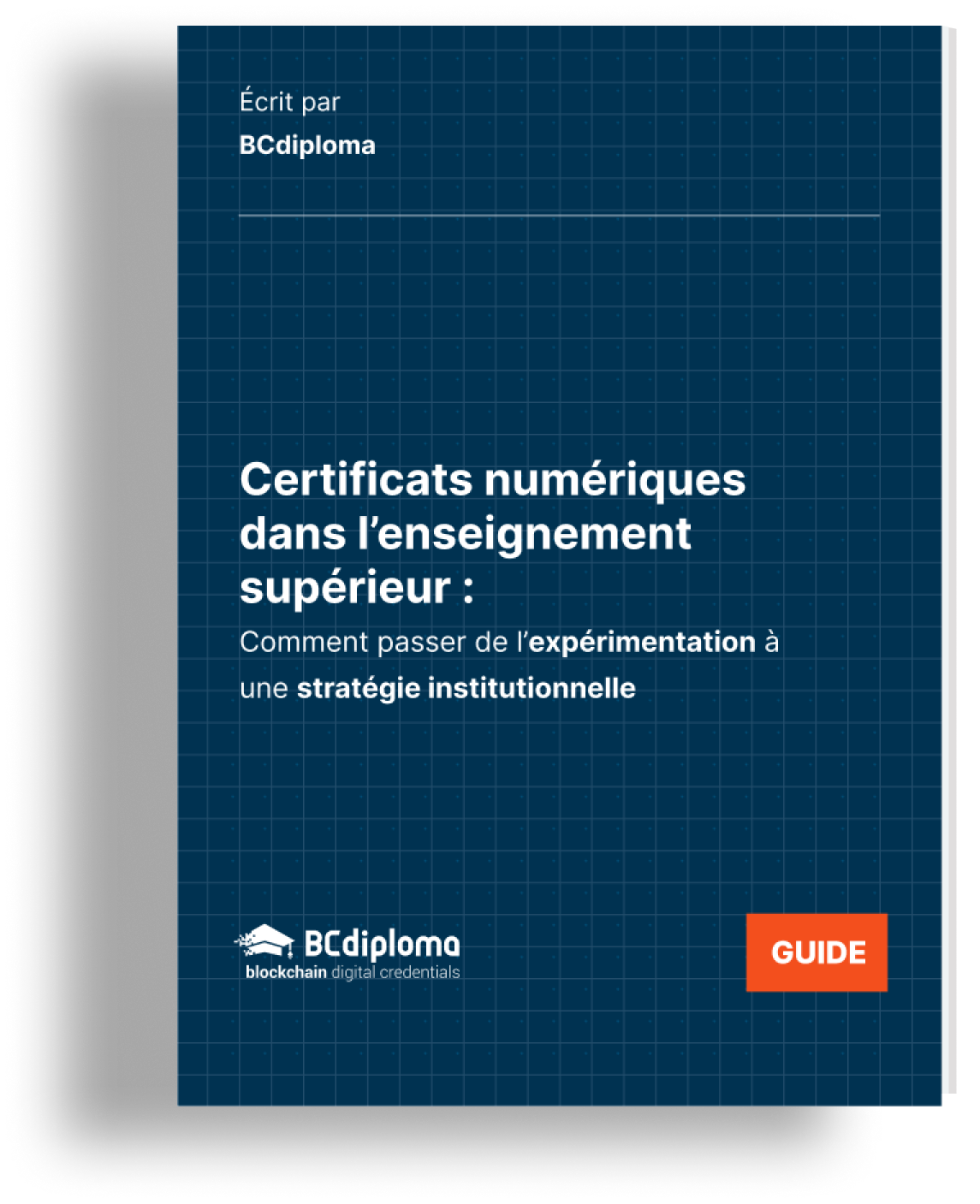 Guide stratégique